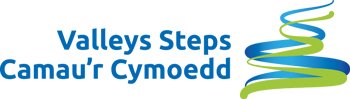 Valley Steps Logo
