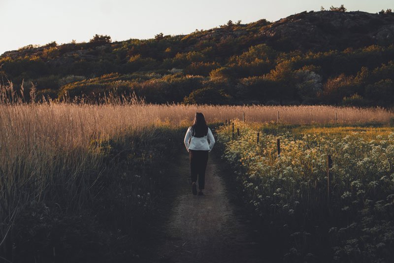 Mindfulness for Everyday course